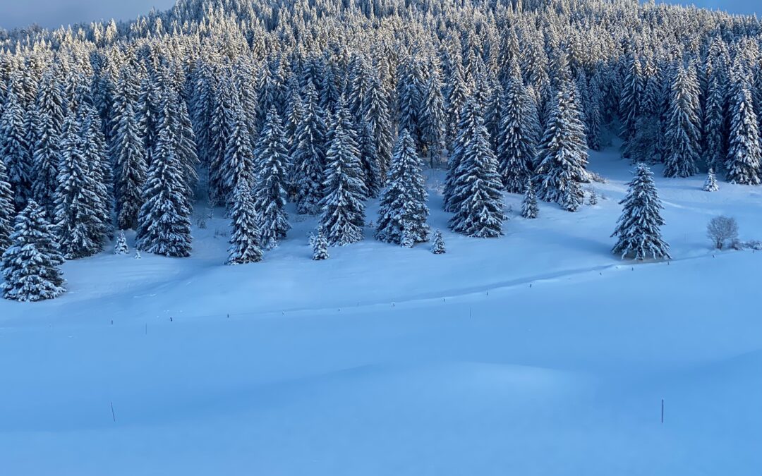 Que faire dans le Jura en hiver ?