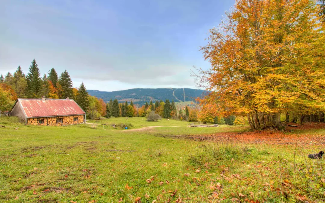 Le top des gîtes isolés du Jura