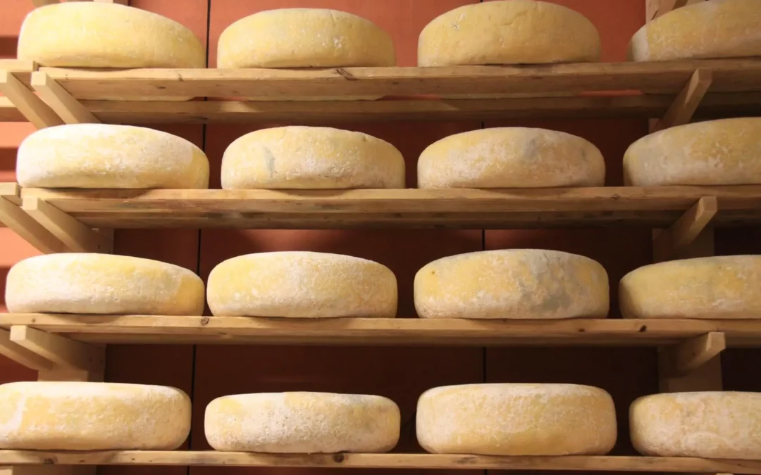 La Fromagerie des Moussières : Visite et Produits Locaux