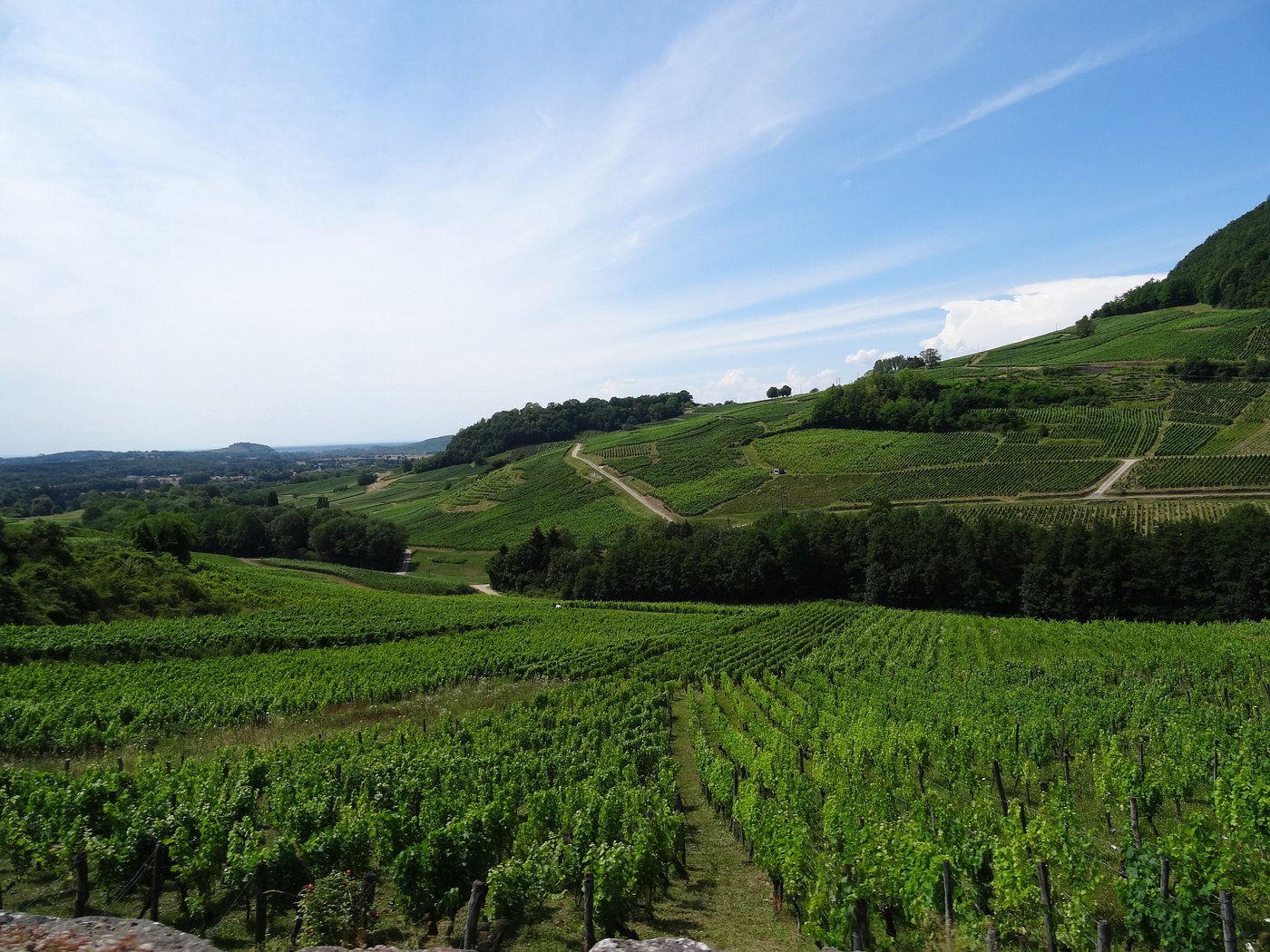 les-vignobles-de-chateau Hôtel La Mainaz dans le Haut-Jura