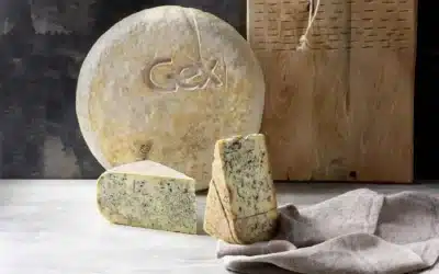 Quels sont les principaux fromages du Jura ?