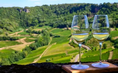 Quels sont les vins du Jura ?