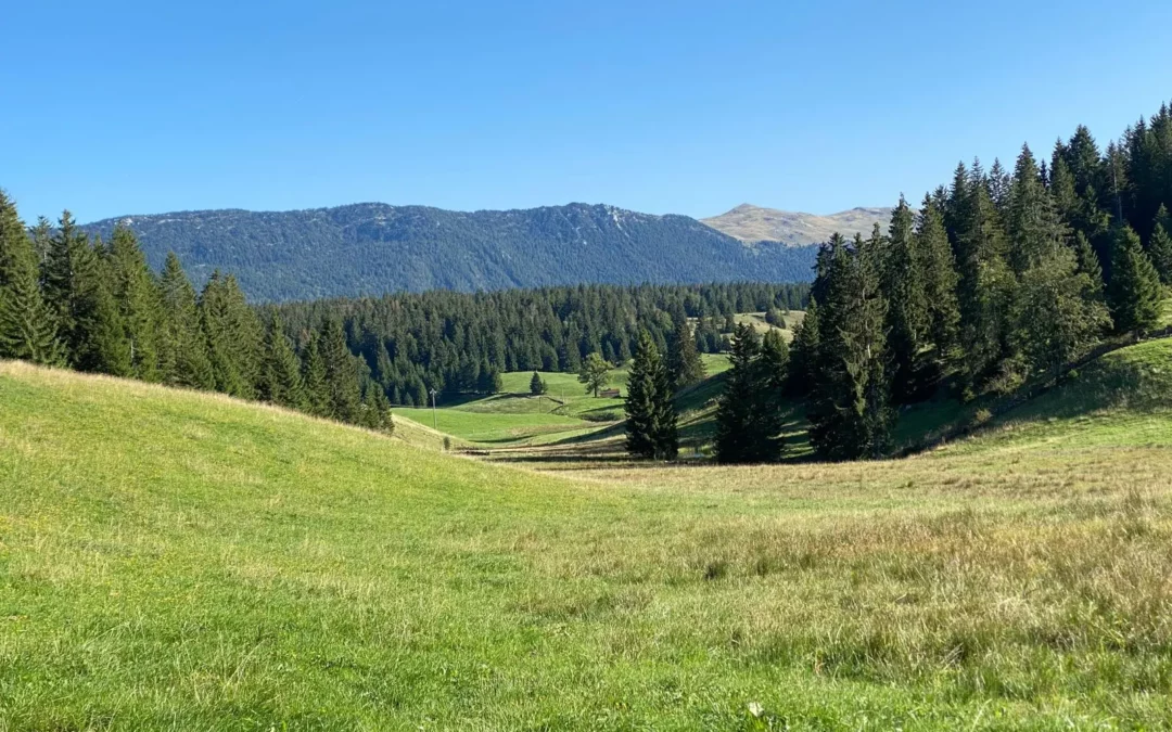 Où aller dans le Jura : les meilleures destinations