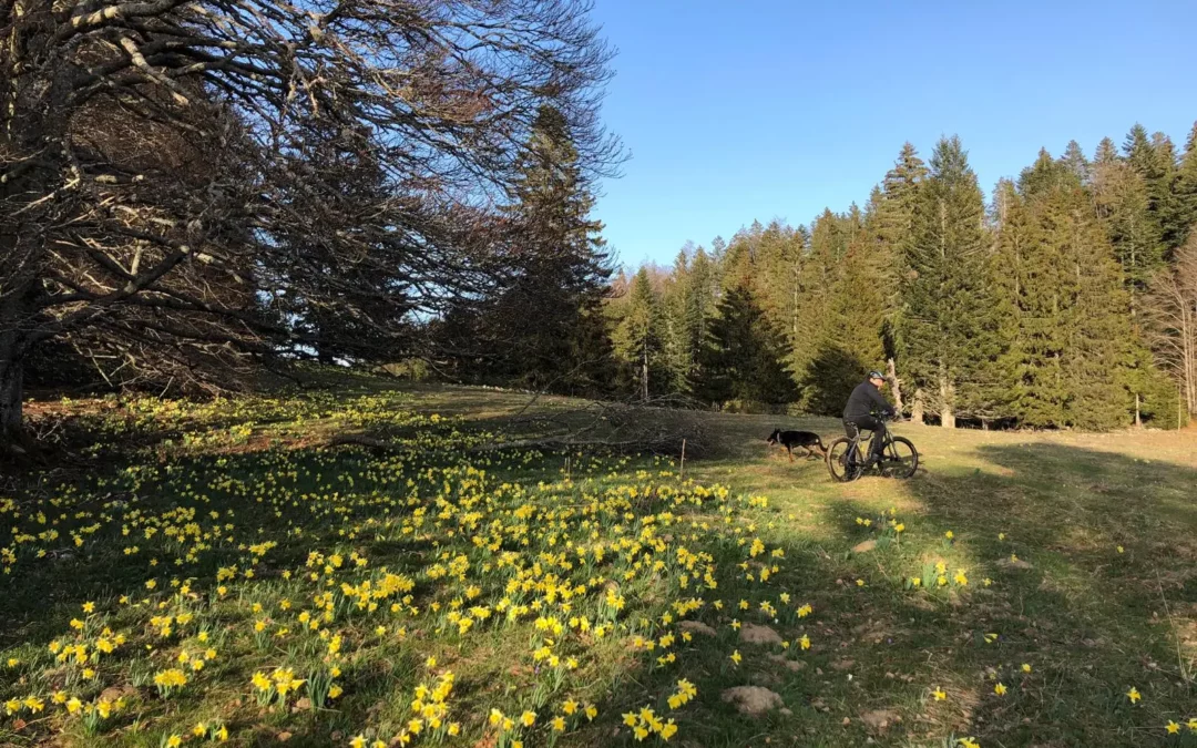 Randonnée VTT dans le Jura : mes 4 itinéraires favoris