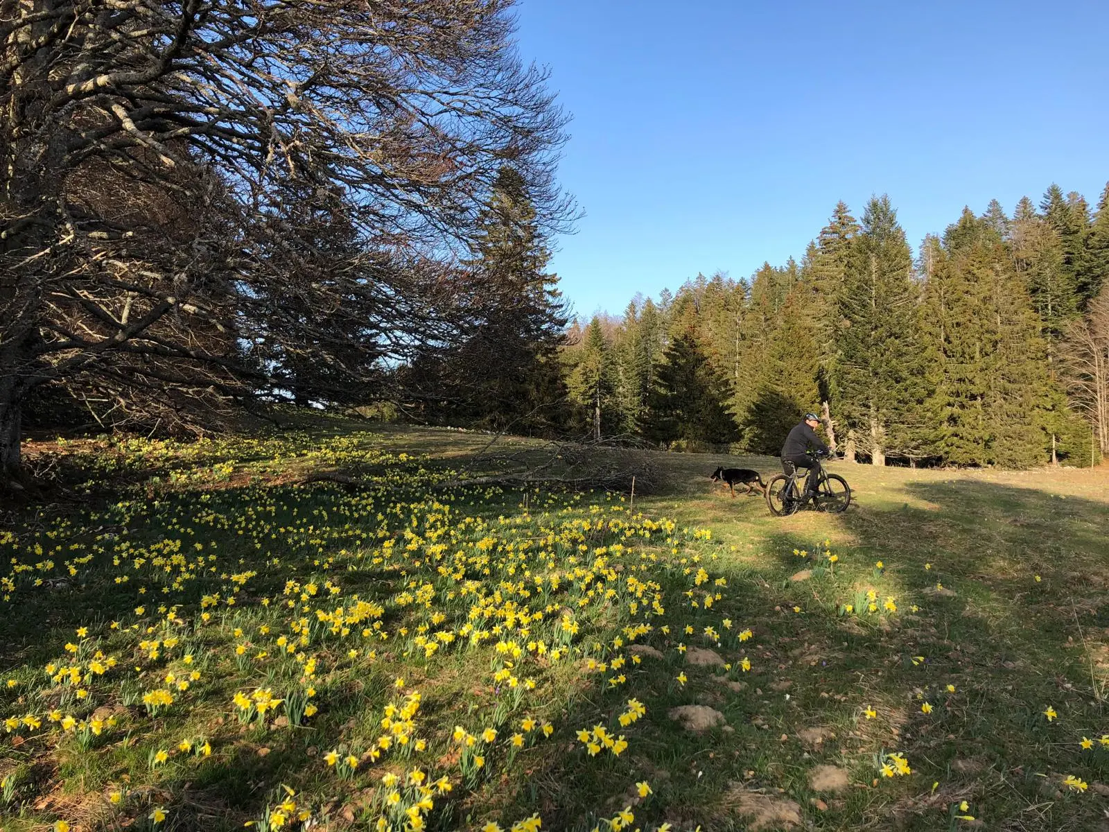 Randonnée VTT Jura