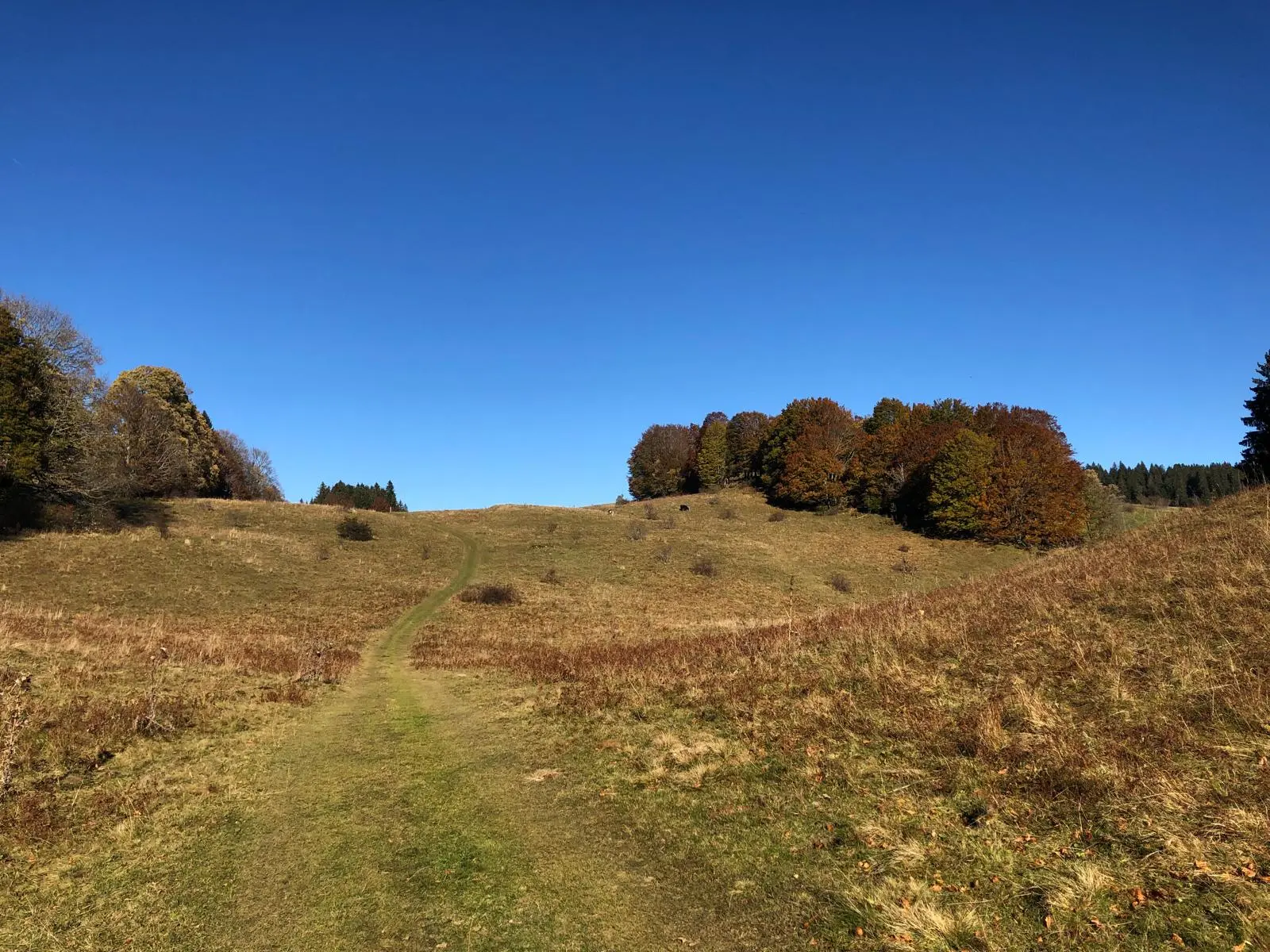 Rando VTT Jura