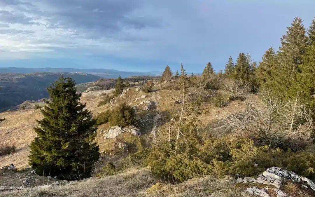 Hautes Combes du Jura : Activités, Randonnées et Hébergements