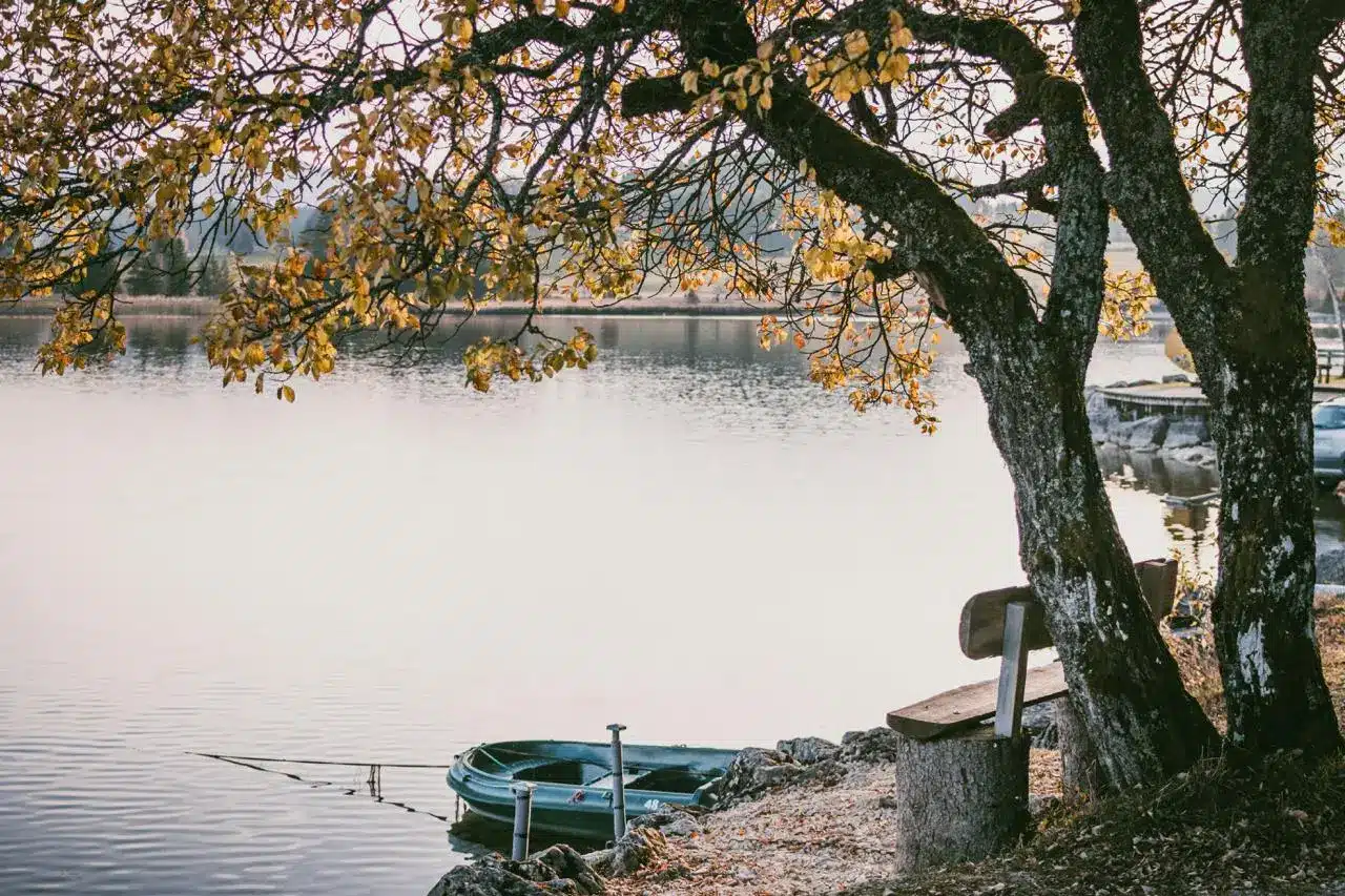 Lac Jura Automne