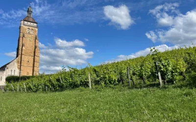 Week-end à Arbois : avec ou sans voiture