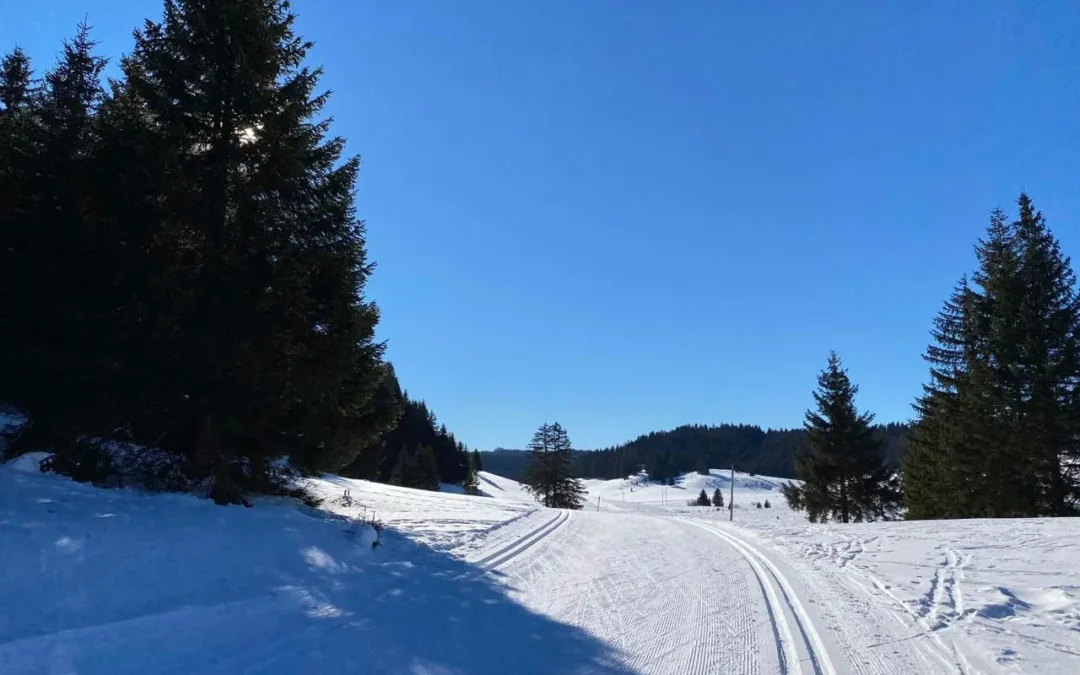 Les Rousses : Guide Complet pour le Ski de Fond