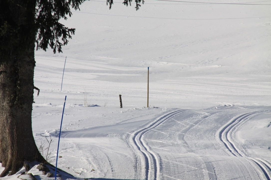 Ski de fond dans le Jura Ski de fond dans le Jura