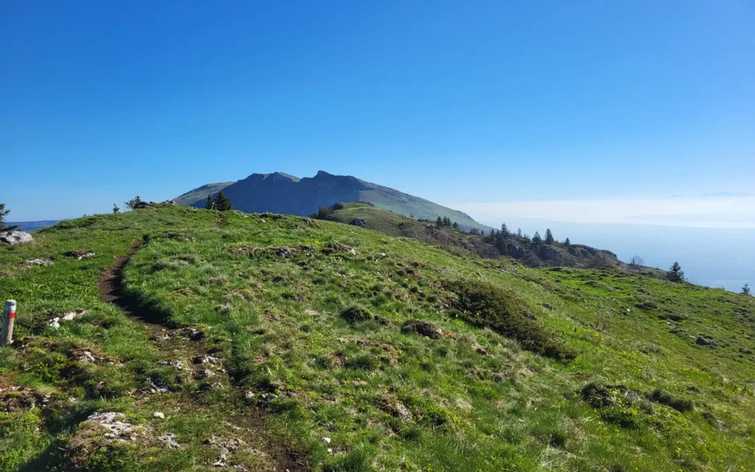 Calendrier 2025 des principaux trails du Jura