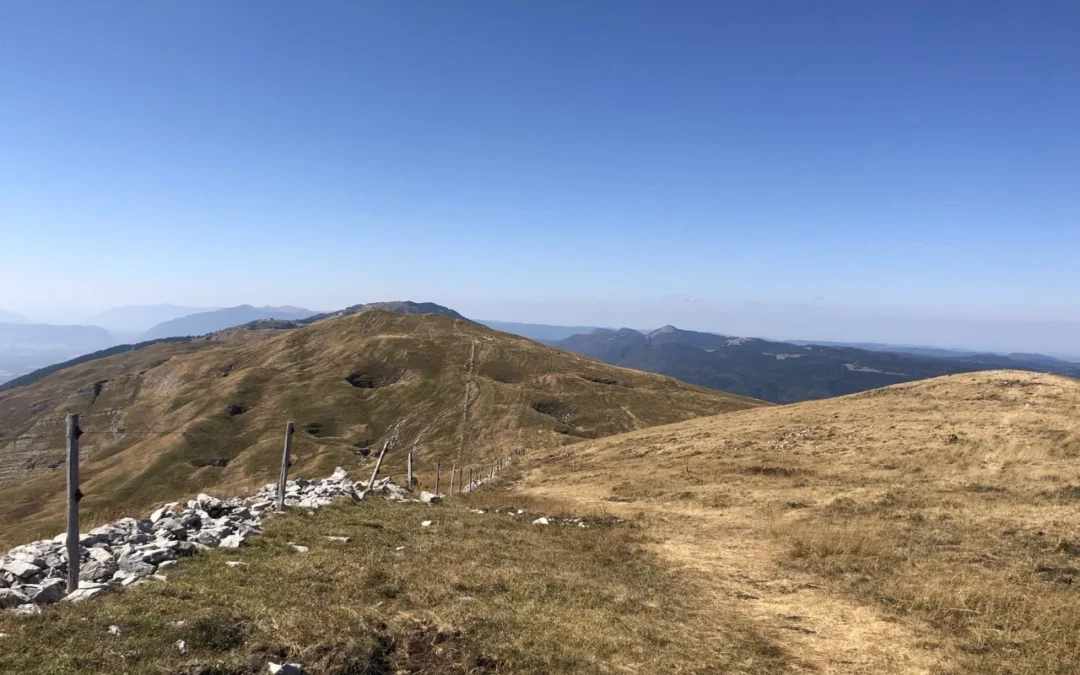Quels sont les plus hauts sommets du Jura ?