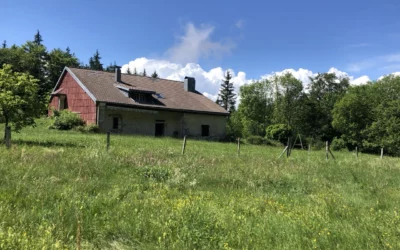 Que faire dans le Jura au printemps ?