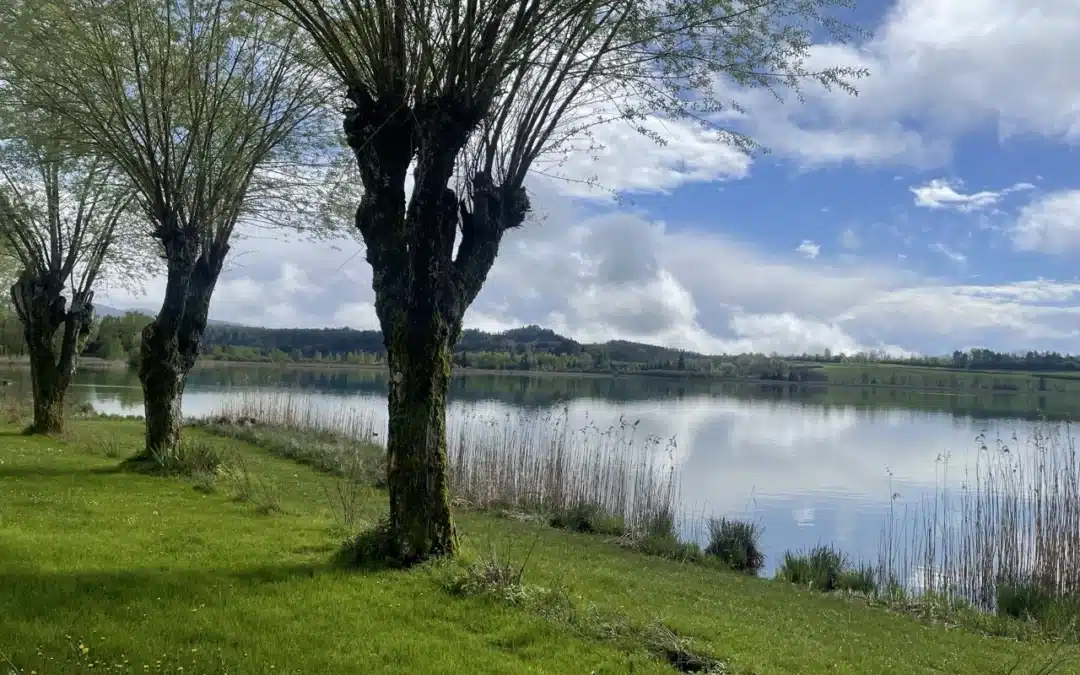 Route des Lacs du Jura : itinéraire et conseils