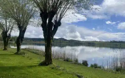 Route des Lacs du Jura : itinéraire et conseils