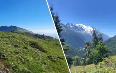 Jura vs Alpes : pourquoi choisir le Jura pour votre prochaine escapade ?