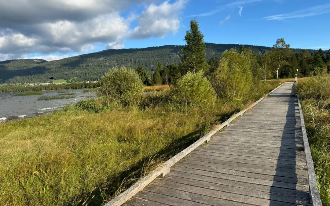 10 balades faciles à faire en famille dans le Jura