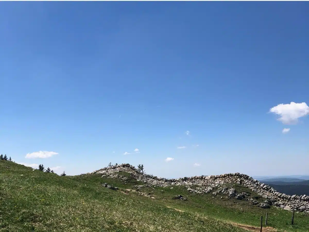 Rando la Dole jura