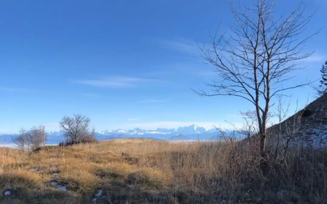 Randonnées autour de Genève : cap sur le Jura