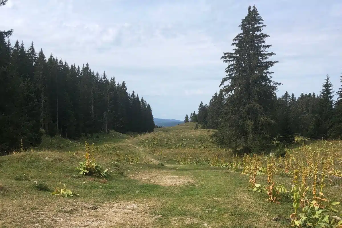 rando 4 jours jura
