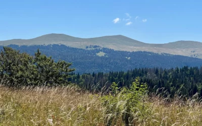 Jura : randonnée de 4 jours en boucle