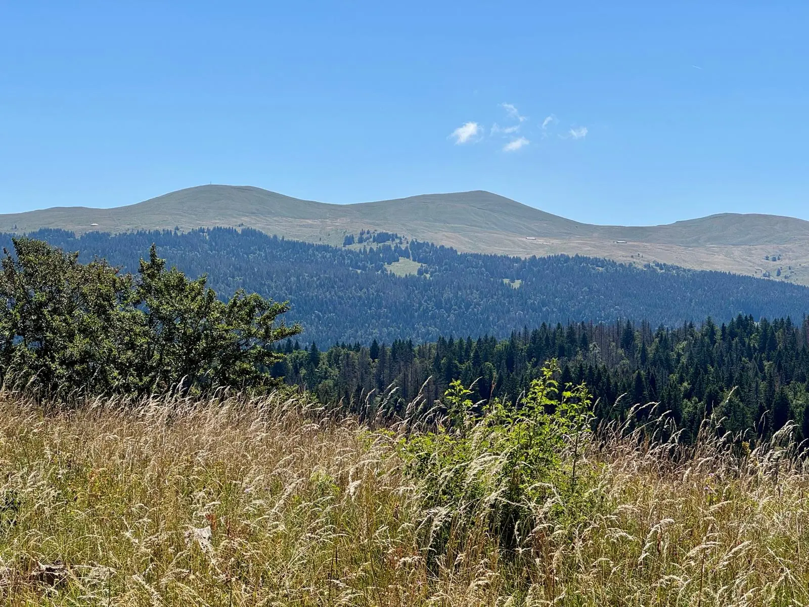 Cariche rando 4 jours jura