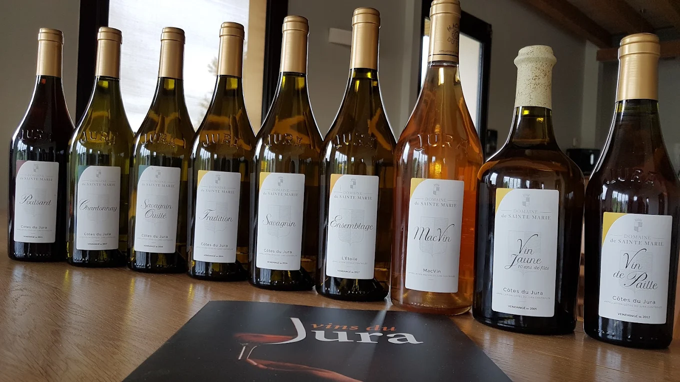 Dégustation de vin dans le Jura : Domaine de Sainte Marie