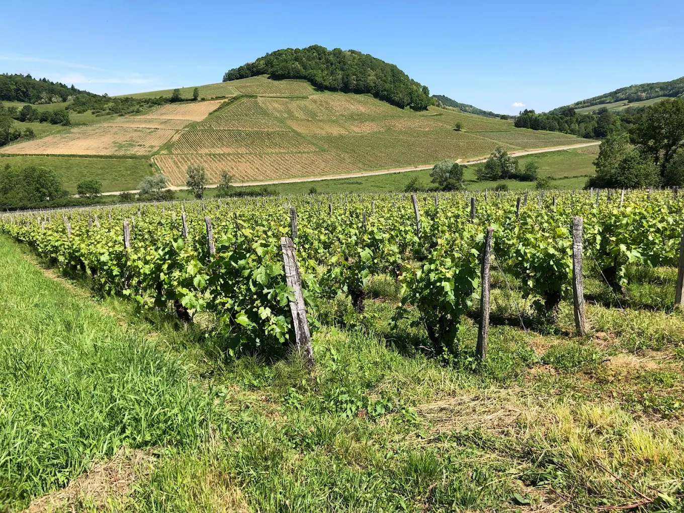Dégustations au domaine de Sainte Marie dans le Jura