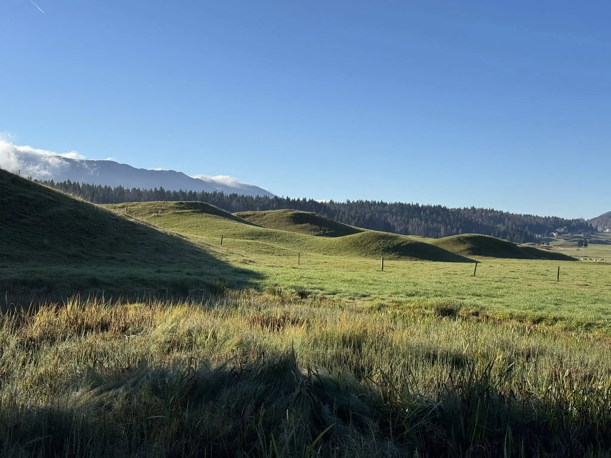 Route de Bellecombe dans le Jura