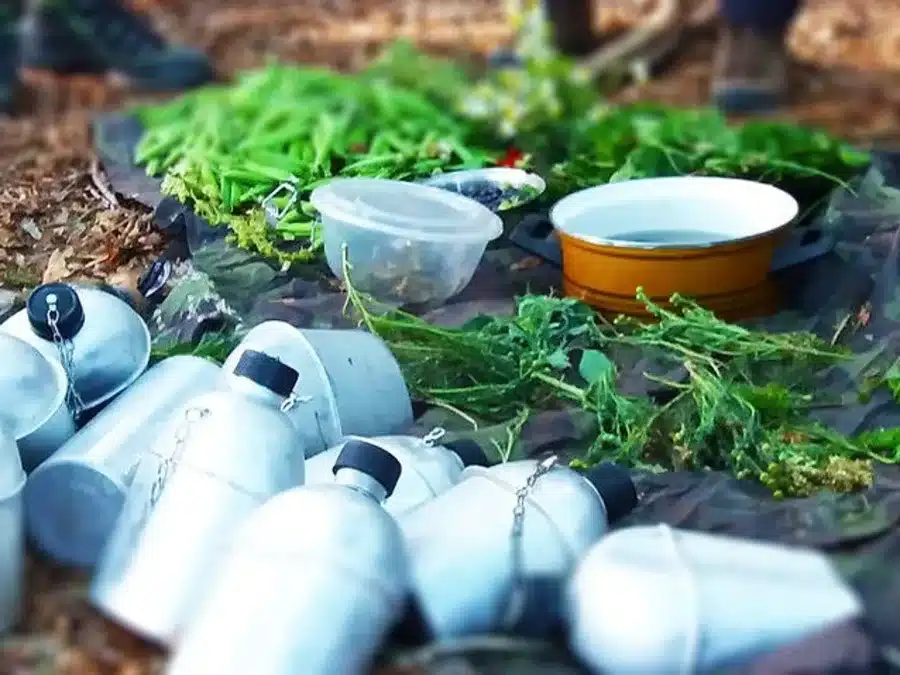 un stage de survie à faire entre amis dans le Jura