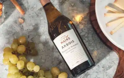 Où faire une dégustation de vin à Arbois ? Les 5 expériences à tester
